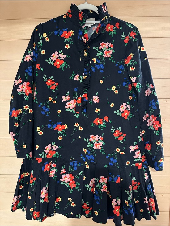 Tuckernuck Dresses & Skirts - Tuckernuck Tate Dress XS Black Floral Ruffle Neck Dress - Multicolor Blossoms